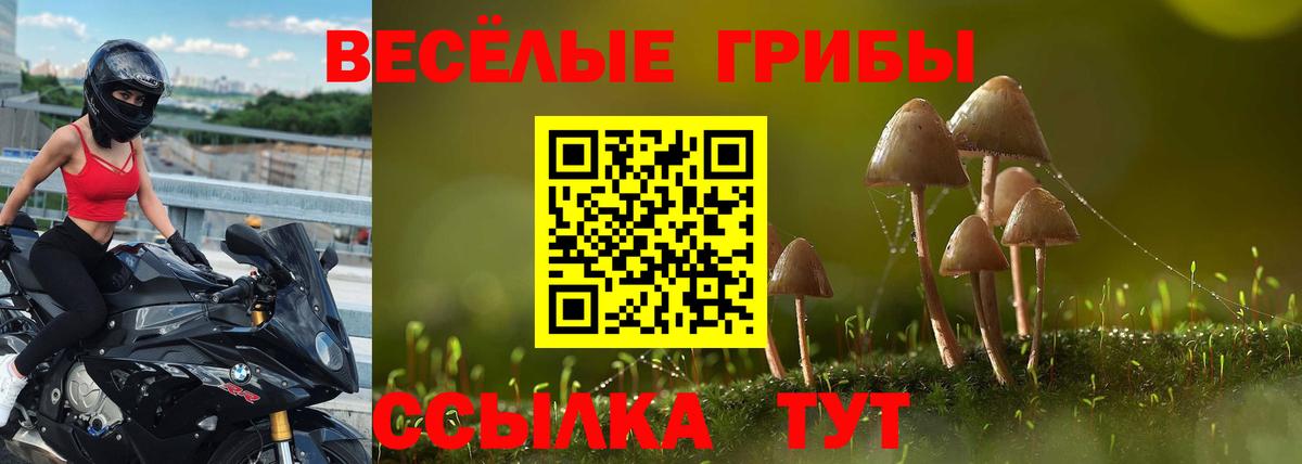 Псилоцибиновые грибы MAGIC MUSHROOMS  Псилоцибиновые грибы Psilocybine cubensis  Вход с VPN  Михайловск 